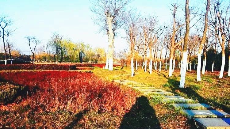 蓬莱夏天的海边,带你领略蓬莱好风景