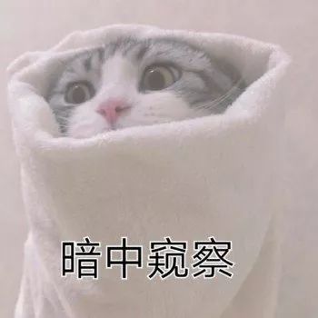 小米mix4支持120hz刷新率吗,小米miui12.5增强版屏幕刷新率