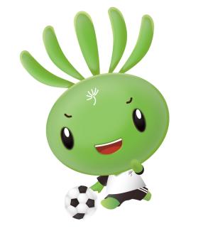 有关校园足球作品说明,校园足球视频大全