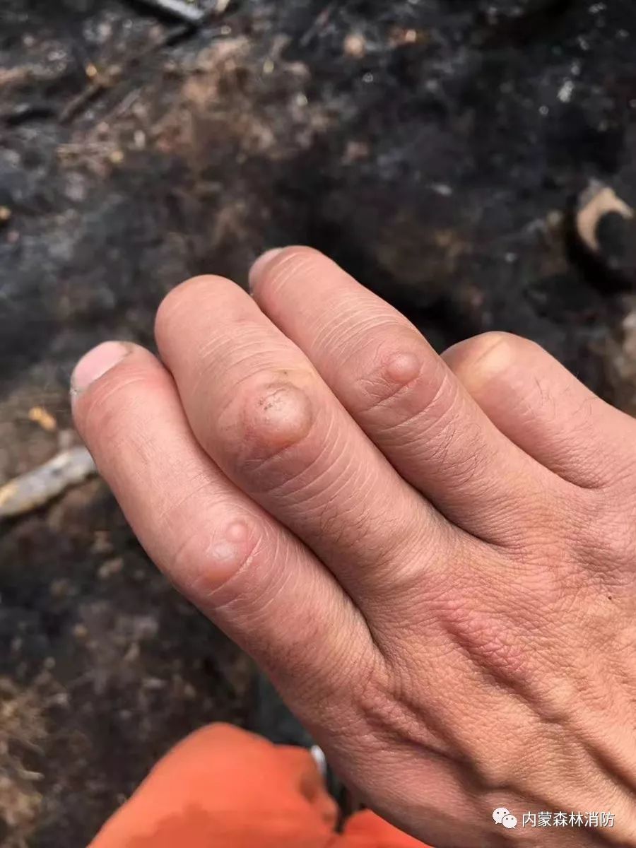 主题教育消防员战斗精神有提升,森林消防让主题教育在保障工作中