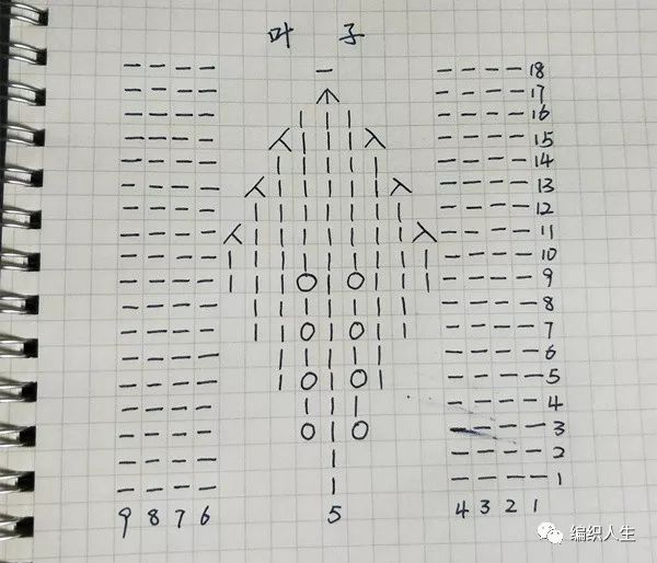 日本白桦正针毛衣编织视频,白桦裙子编织详细教程