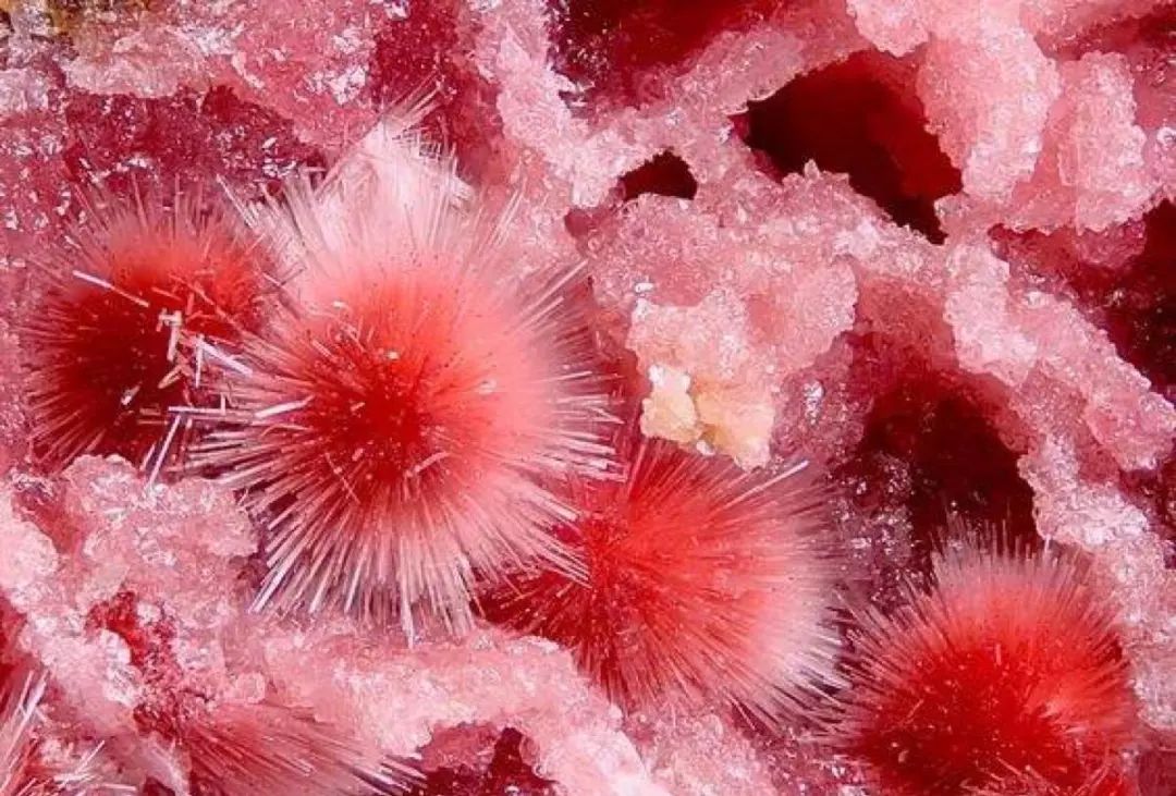 谁还不是个小可爱呢下一句,谁还不是小可爱