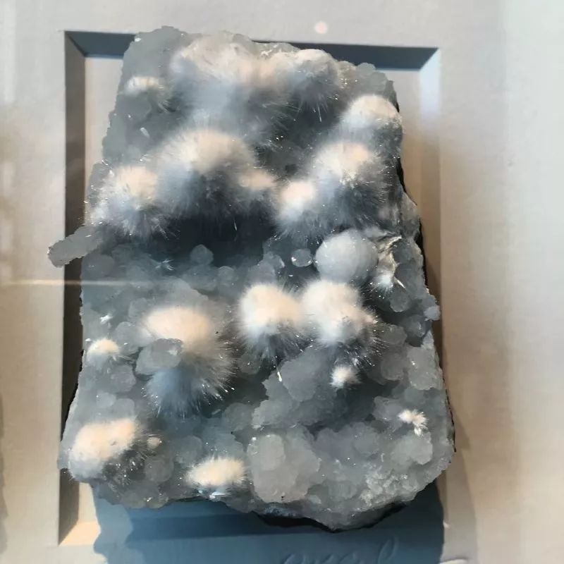 谁还不是个小可爱呢下一句,谁还不是小可爱