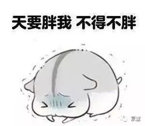 北京大型撸猫馆推荐,三里屯撸猫的地方