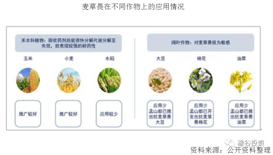 江山股份最新点评,江山股份草甘膦产量多少吨