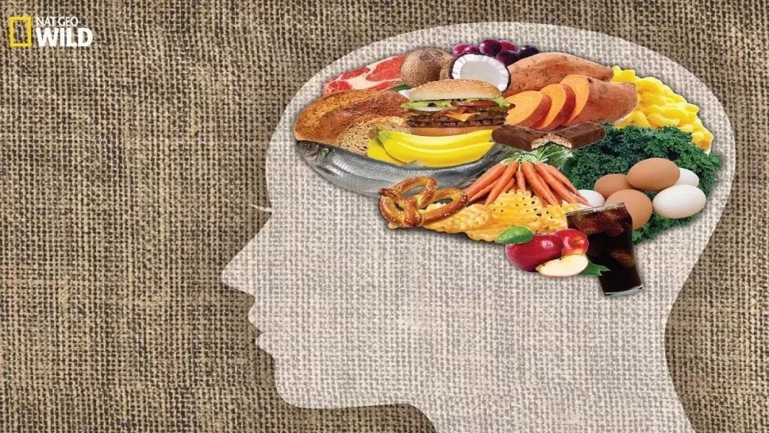 bbc苏格兰纪录片,bbc纪录片苏格兰