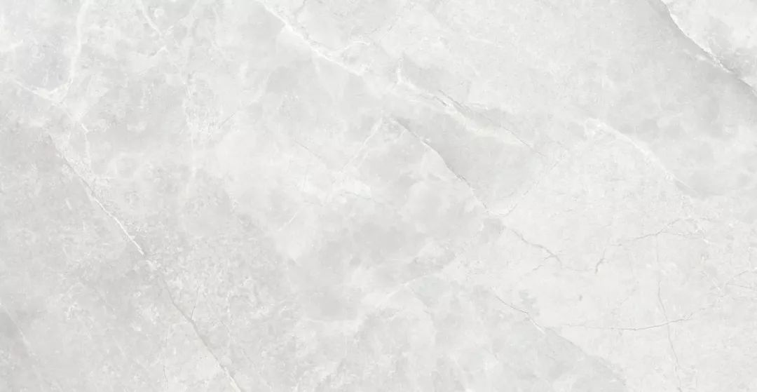 罗马利奥瓷砖和东鹏哪个品牌好,罗马利奥和新中源哪个好