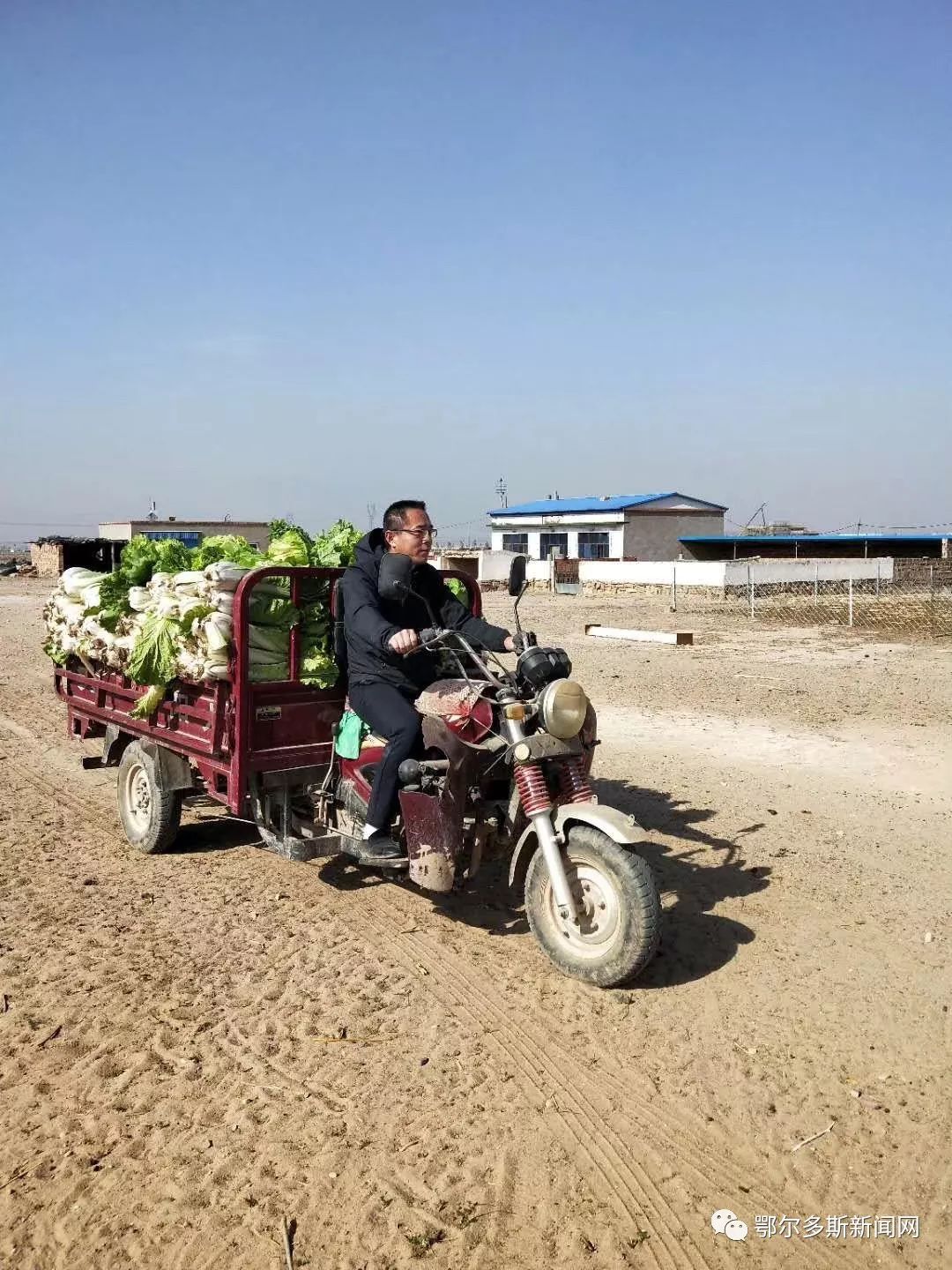 又到腌酸菜的季节,又到腌酸菜的时候