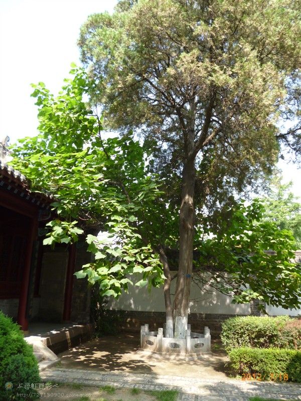 兴城自驾游记,兴城游记作文