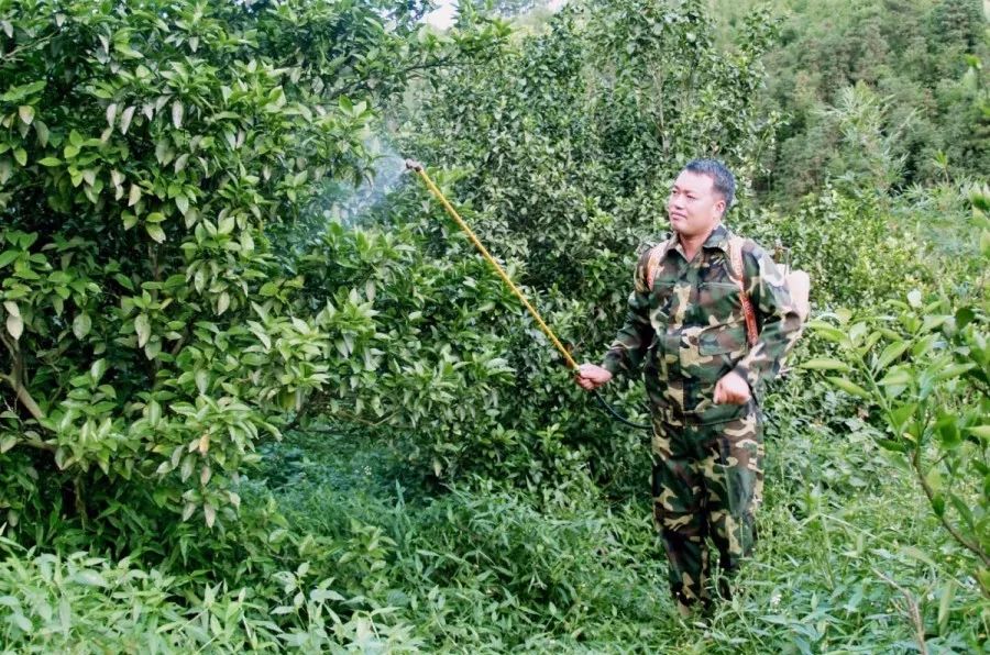 初心不变，创新不已，这些西江人才用实干圆梦想！快来看看他们的故事吧！