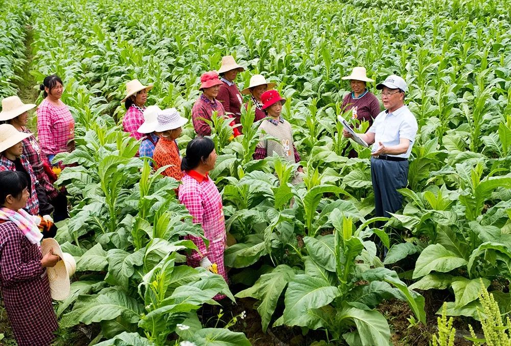 瀹夊窘姹犲窞鍐滄潙鐢熸椿璁板綍,姹犲窞娓哥帺鏃ヨ