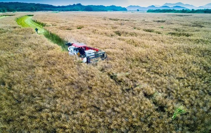 瀹夊窘姹犲窞鍐滄潙鐢熸椿璁板綍,姹犲窞娓哥帺鏃ヨ
