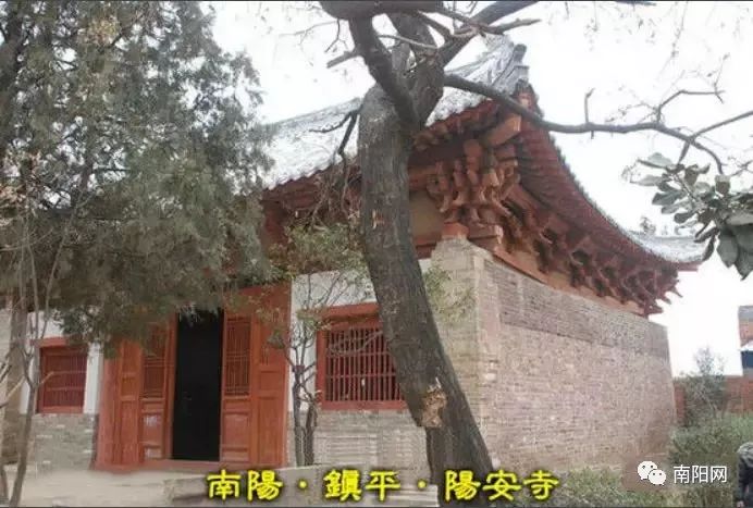 南阳一地入选全国试点,中国骄傲最新消息