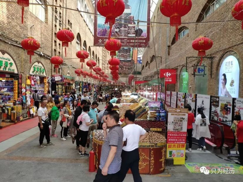 博格达雪莲,博格达天山雪莲