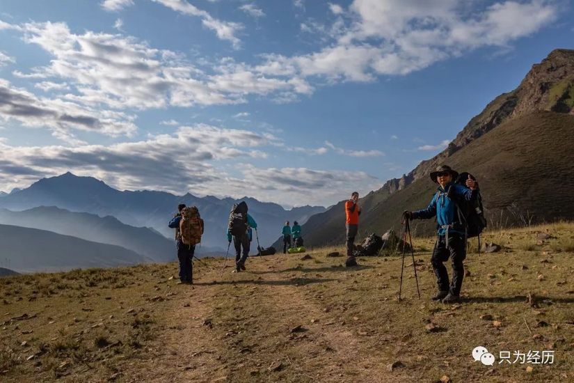 博格达雪莲,博格达天山雪莲