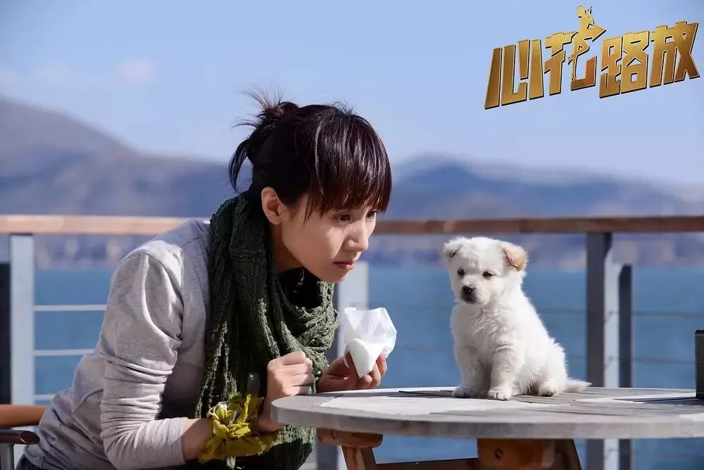 袁泉蜕变,袁泉唐晶风格