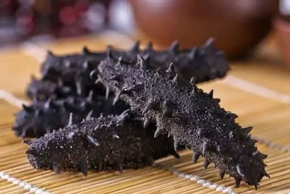 加拿大海参购买,购买加拿大海参