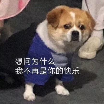 比胖还可怕的减肥是真的吗,比肥胖更可怕视频