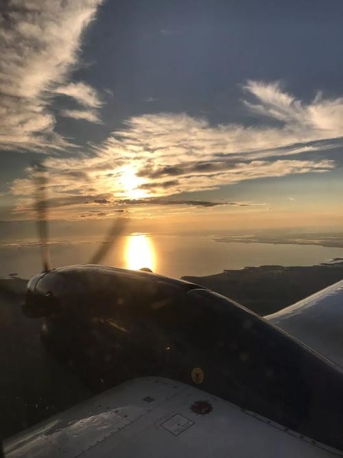 野钓窝点爆护,野钓哪个位置最容易有鱼