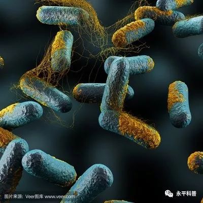 肉毒梭菌食物中毒的防治措施,预防野生菌中毒安全教育文字