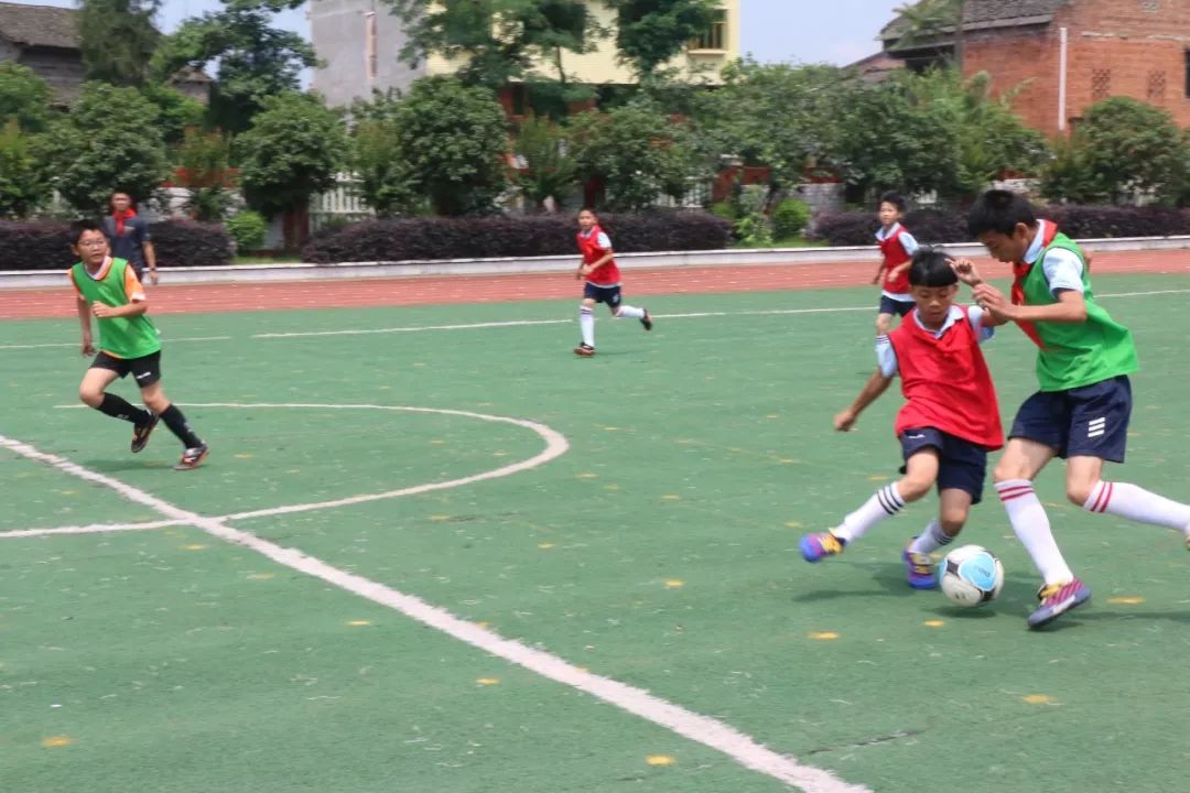 马路对面是学校环境怎么样,马路对面学校真实照片