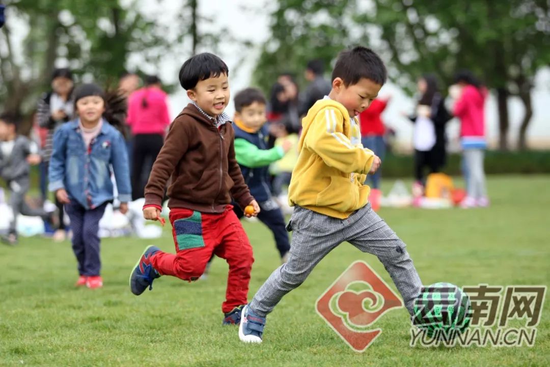 曲靖市第一批国防教育特色学校,曲靖教育部认定的学校