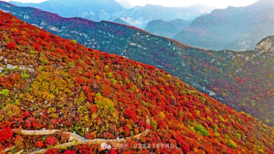 北京秋天赏红叶好去处房山坡峰岭,秋天赏红叶最佳去处