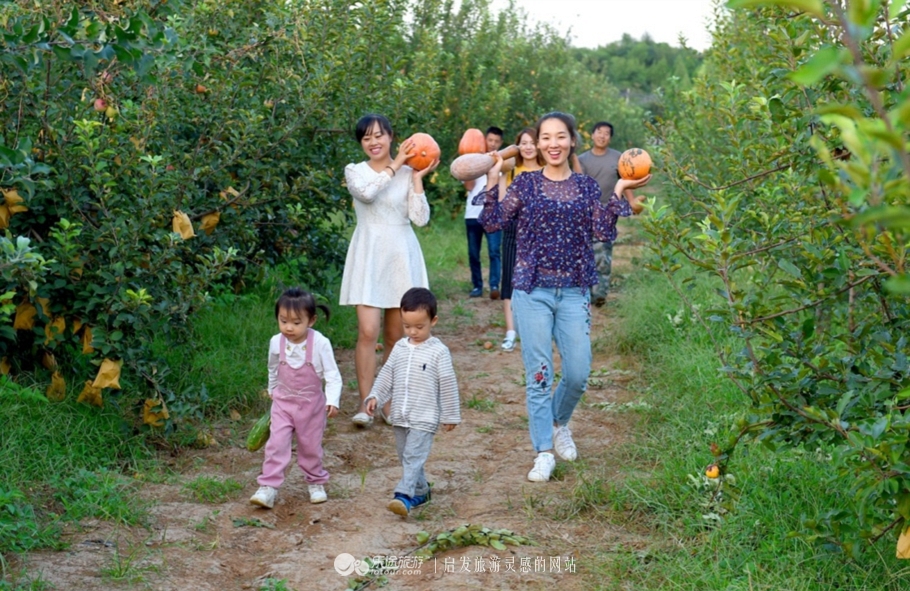 北京秋天赏红叶好去处房山坡峰岭,秋天赏红叶最佳去处