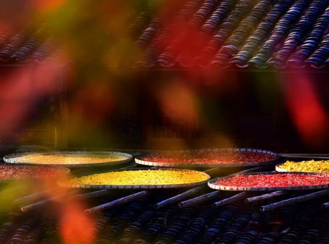 婺源篁岭晒秋什么最好看,婺源秋色正浓石城枫叶渐显红