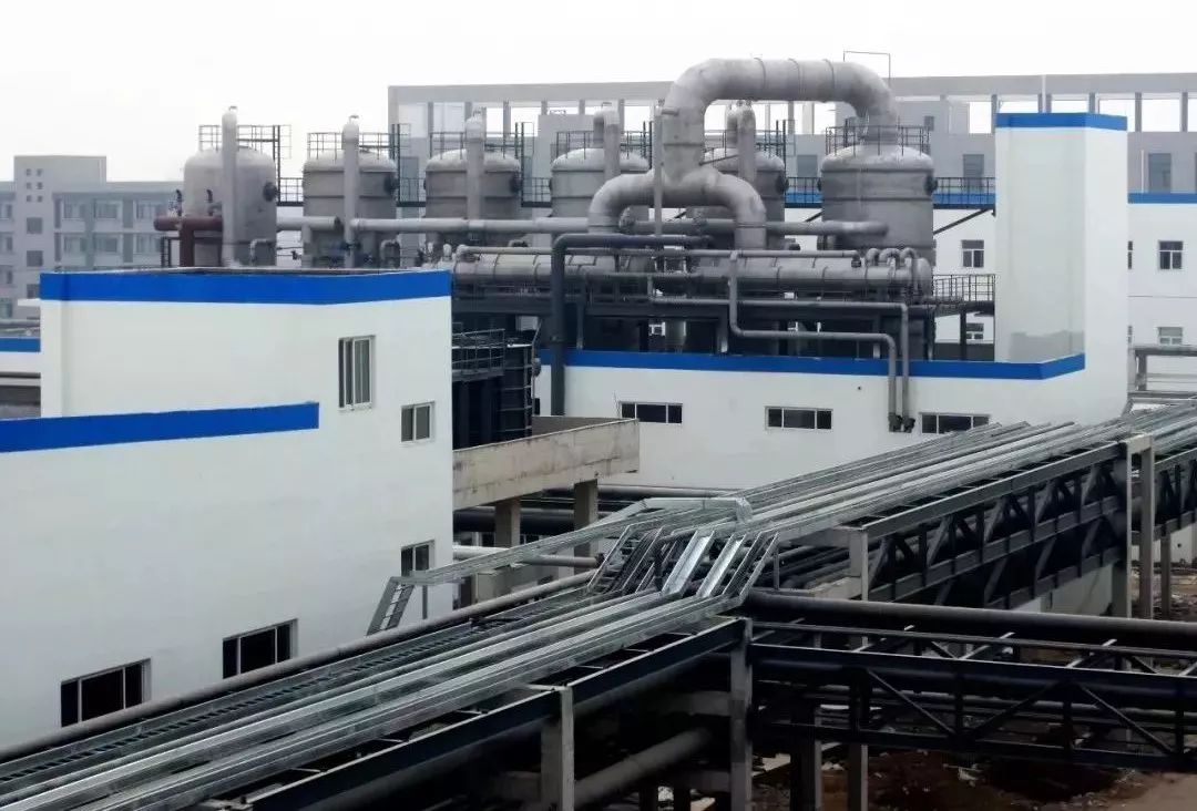 关注|面对困境保定天鹅何以能展翅高飞？转型升级给出答案