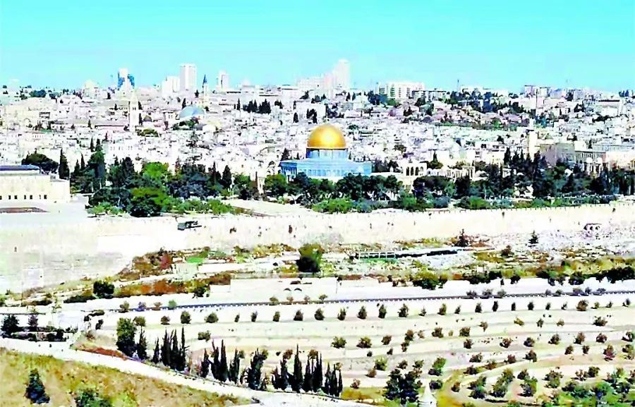 走进以色列全集视频,走进以色列第一集至十二集