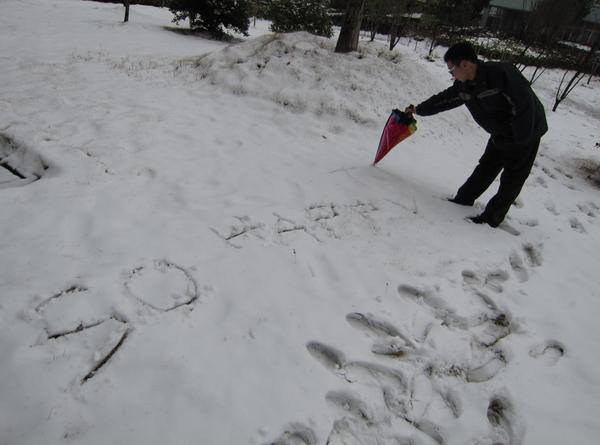 在宁波生活是怎样的体验,在宁波读书的真实感受
