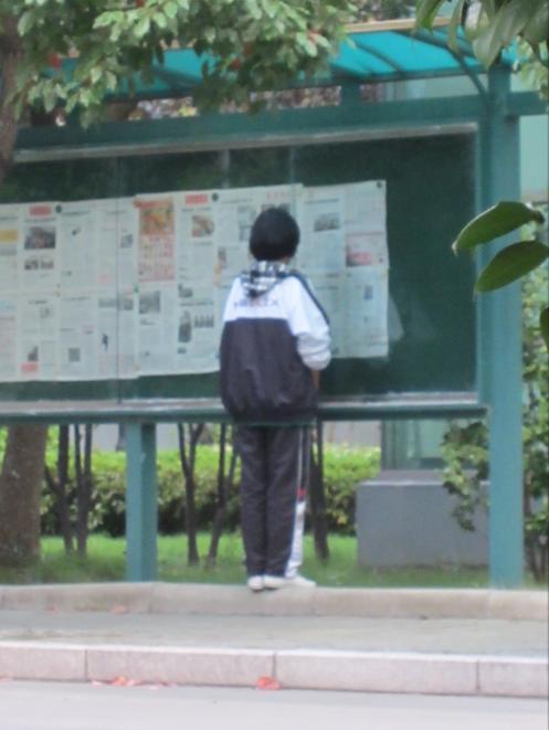 在宁波生活是怎样的体验,在宁波读书的真实感受