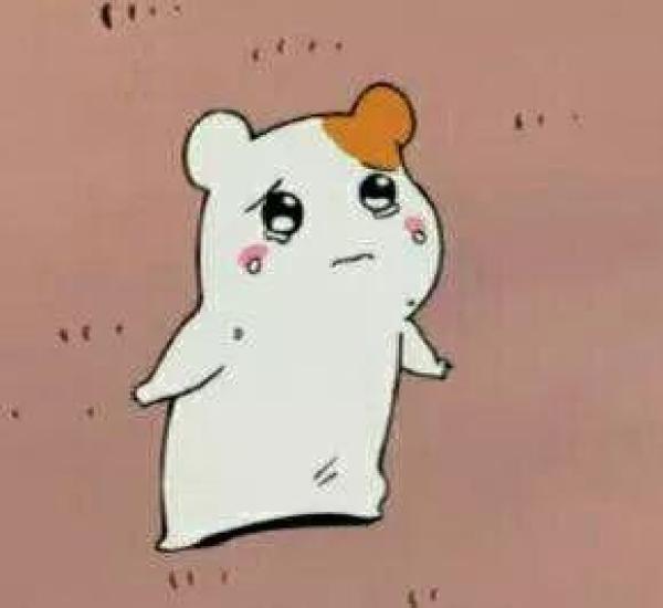 拍照赚钱的真实经历,拍什么照片可以一次赚五六千