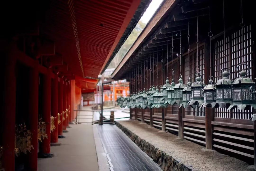 泡全球仅一家的珍珠温泉,上小众景美的雪场滑雪,99%游客都不知道的日本玩法