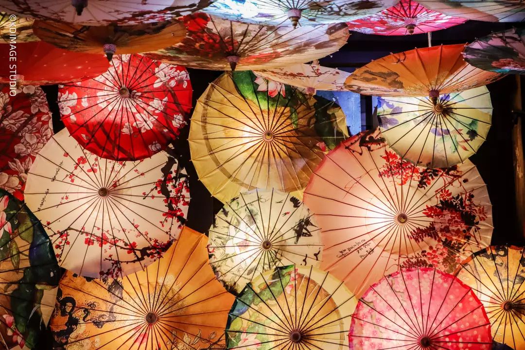 vlog单反入门级相机推荐,初学vlog适合用什么样的相机