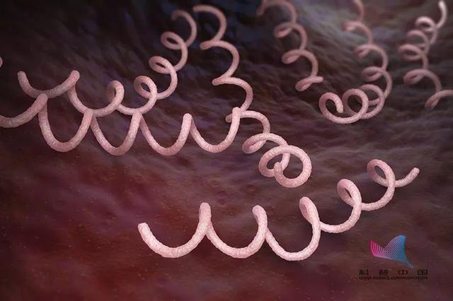 洗浴中心感染梅毒的可能性大吗,在浴池洗澡会感染艾滋吗