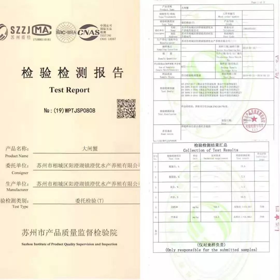 阳澄湖大闸蟹流黄,阳澄湖大闸蟹几月份吃最好吃