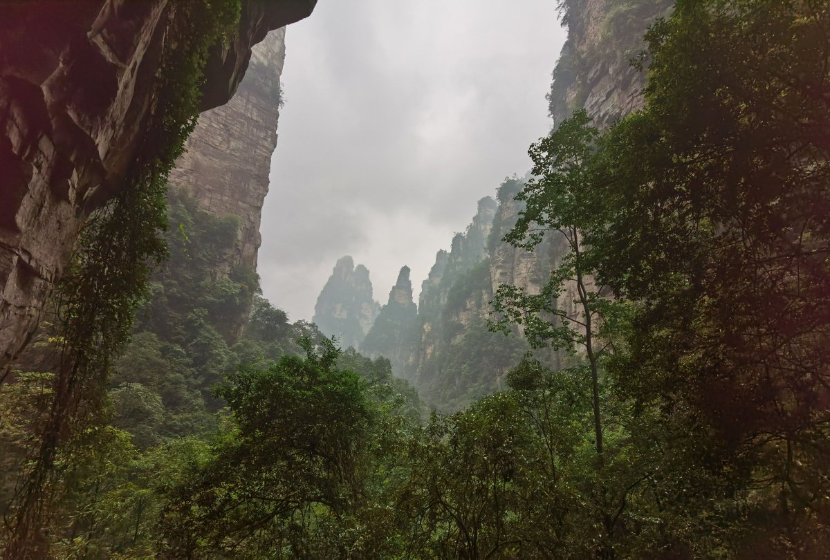 华为mate30pro前摄像头近拍,华为mate30pro前摄像头拍照效果