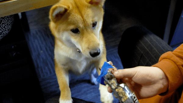 瓒呮湁鍤煎姴鐨勫潥鏋滄,瓒呯骇濂藉悆鐨勫潥鏋滄