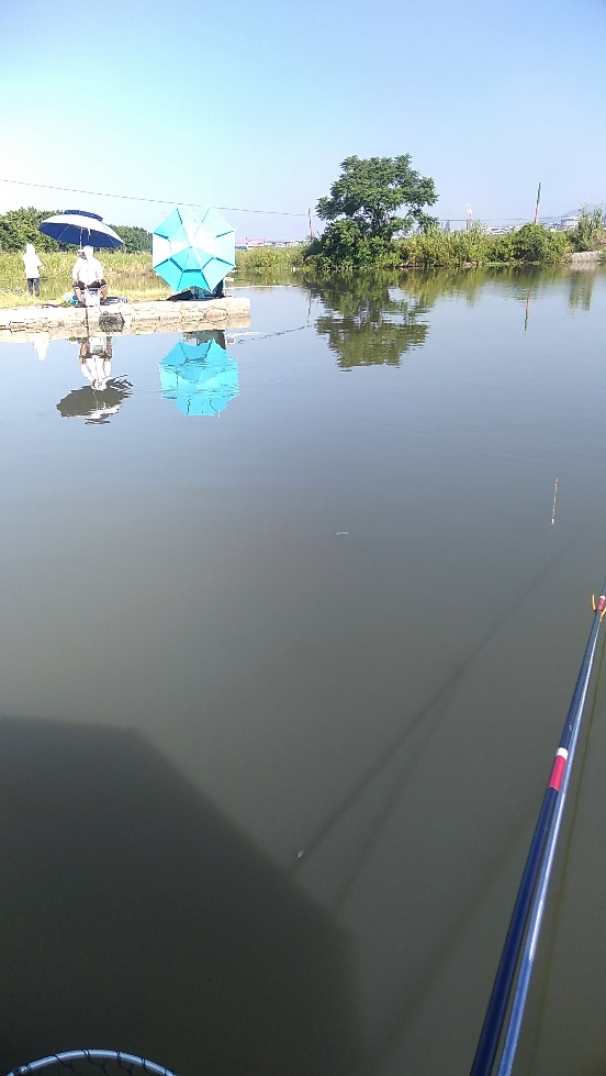 带友渔乐记渔获20斤,钓鱼不能*欢偷**