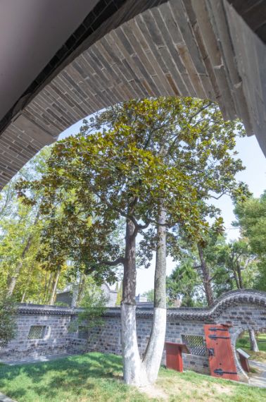 合肥竟有10处“国宝”！肥东两地上榜～