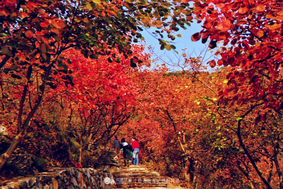 坡峰岭乡村大集,坡峰岭附近赶集