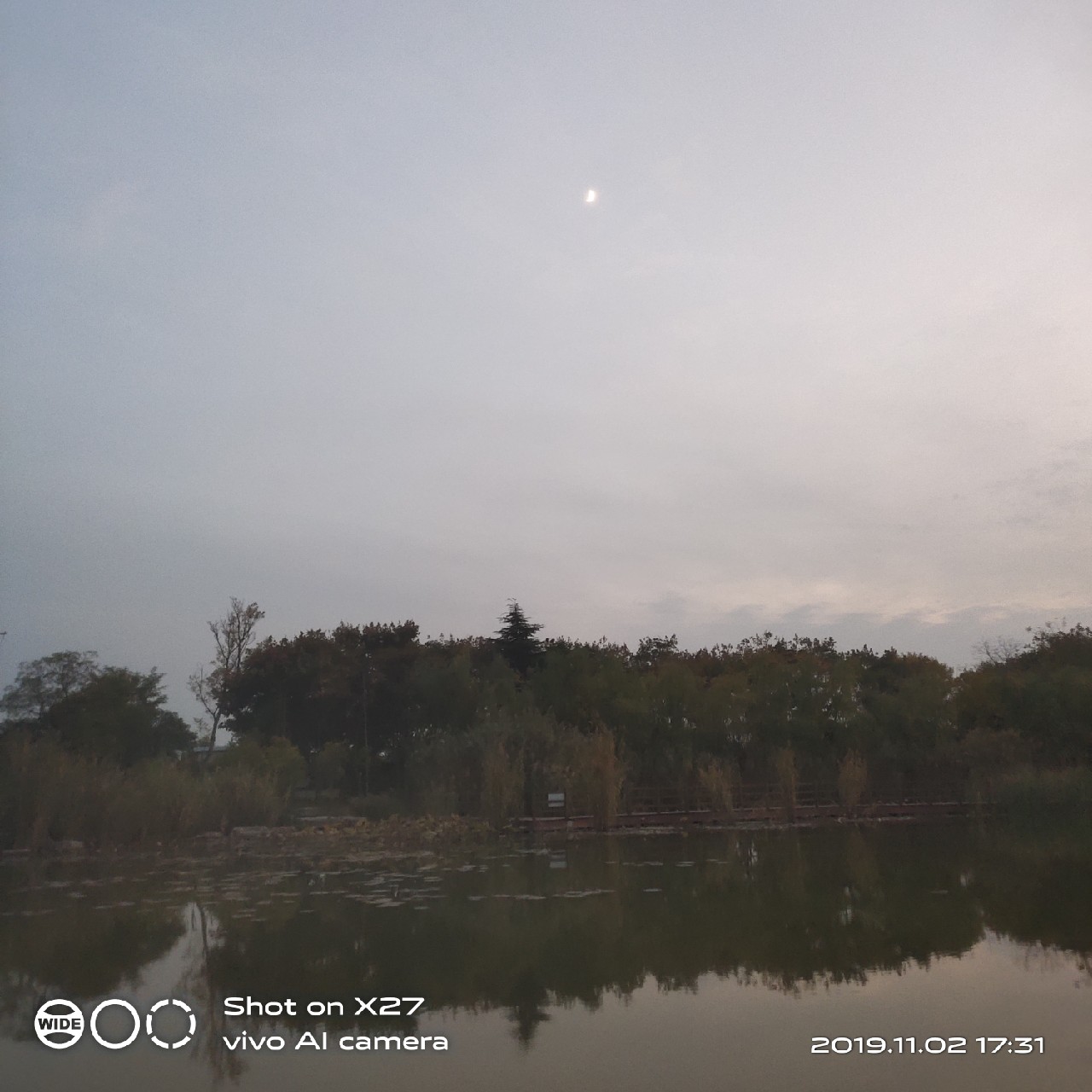 坚持就是胜利,收竿鱼喜获漂亮大板一尾