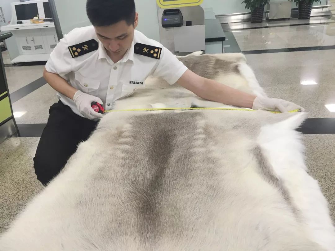 坚持守正创新积极开拓进取,守正创新锐意进取砥砺前行