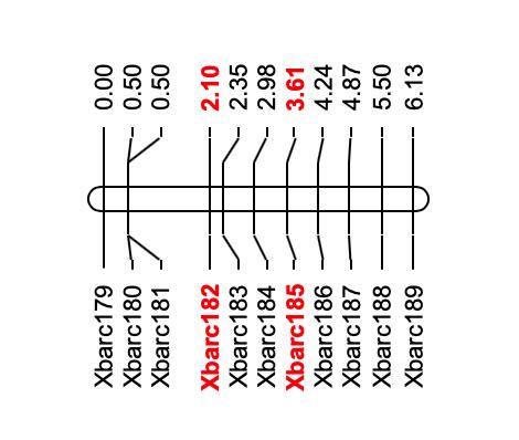 如何绘制交叉网状图,怎么快速画线性图