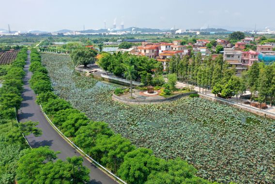 佛山市学习强国,学习强国一天一两百分怎么搞