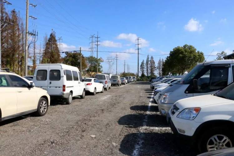 嘉定新开的菜场,高颜值菜场开业