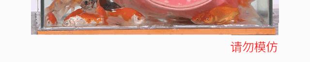 电热毯卖疯了,适合日本用的电热毯