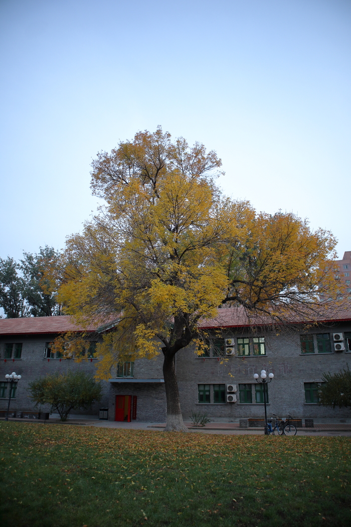 佳能M200入门微单相机eosm200,佳能eosm200值不值得买